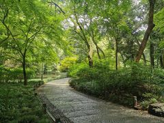 -九曜山