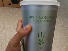 -雾与山茶(大禹城店)