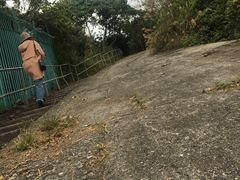 -YHA赛马会摩星岭青年旅舍(香港岛)