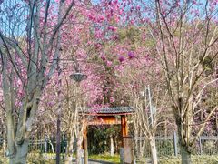 -凤凰沟景区