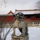 翻到了年前赶上下雪的时候去的旧宫，还是没忍住把照片发