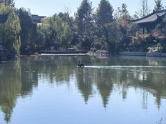 -春色如许·茶食餐厅(桃李春风店)