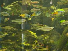 -上海大自然野生昆虫馆(东方明珠·爬宠昆虫探索中心)