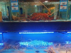 -阿伟海鲜楼·福建菜(延寿店)