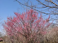 -南京市江宁方山