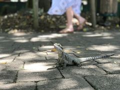 -可伦宾野生动物保护区