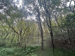 -句容茅山景区