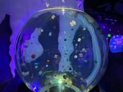 -暹罗海洋世界