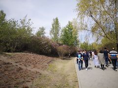 -群力丁香公园