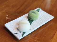 -石葵(锦业时代店)