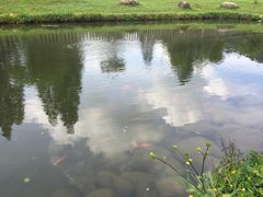 -毛泽东同志旧居