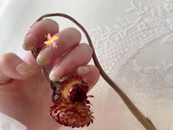 -Adore nail日式美甲美睫