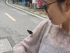 -十八棵（老龙井）御茶园(老龙井店)