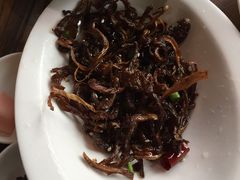 -茶花妹子云南餐厅(北大店)