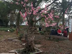 -东山雕花楼