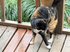 -上海怡沁园度假酒店