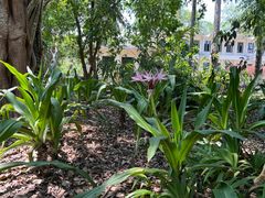 -中国科学院西双版纳热带植物园