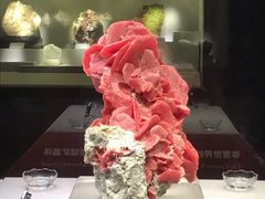 -湖南省地质博物馆