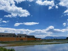 -喜林苑·稻田餐厅(品相府店)