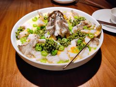 青青椒麻龙胆鱼-CHIC1699远洋私厨