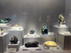 -湖南省地质博物馆