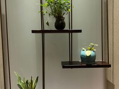 -大唐盲人按摩中心(天山路店)