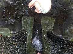 -成都市活水公园