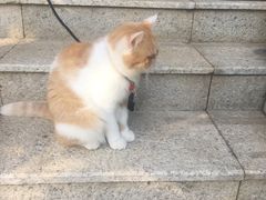 -谷咖啡·鲜花绿植花园餐厅