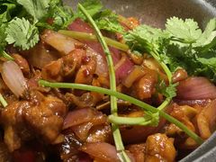 -禄婶鸡煲·打边炉