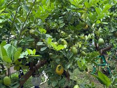 -澳门圣地牙哥古堡酒店