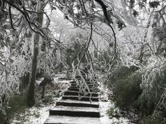 -山王坪喀斯特国家生态公园
