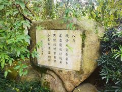 -八卦田遗址公园