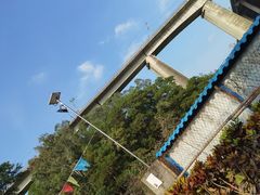 -东莞市大岭山森林公园