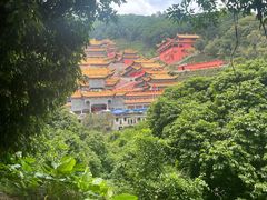 -东莞市大岭山森林公园
