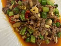 -小辣妹
