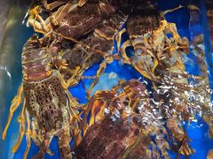 -鹊华居·地道鲁菜·海鲜·融合味(大明湖店)