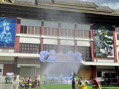-西双版纳原始森林公园