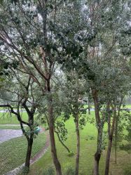 -皇家月府月子中心(沈阳店)