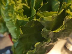 -新鞑烤羊腿(康平路店)