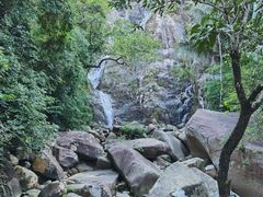 -海南霸王岭国家森林公园
