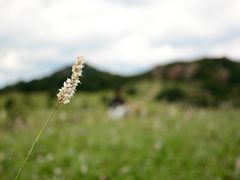 -白草畔自然风景区