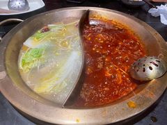 -杨家火锅(国美店)