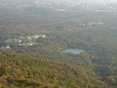 -紫金山山顶公园