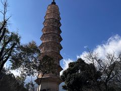 -崇圣寺三塔文化旅游区