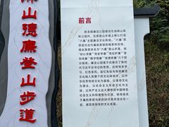 -黄埔油麻山森林公园