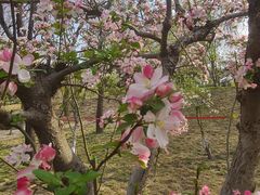 -元大都城垣遗址公园