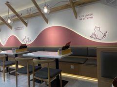-喵园·猫主题咖啡厅·撸猫·猫咖(国贸店)