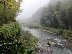 -紫鹊界梯田景区