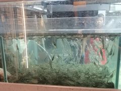 -友明堂.小桃园煨汤(滨江时代walk店)
