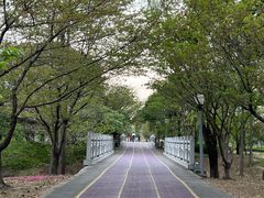 -尚贤河湿地